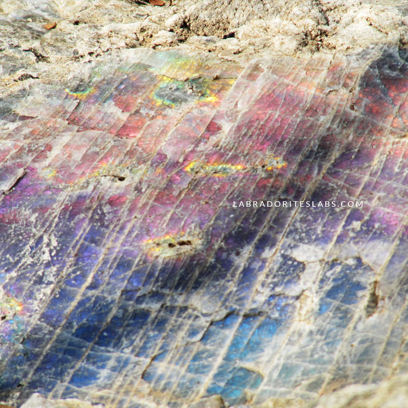 High Flash Peacock Blue Labradorite Quarry